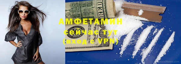 метадон Алексин