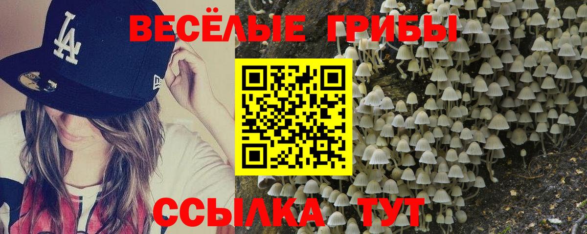 Югорск  Галлюциногенные грибы MAGIC MUSHROOMS  хочу наркоту  Псилоцибиновые грибы GOLDEN TEACHER  Вход с VPN 